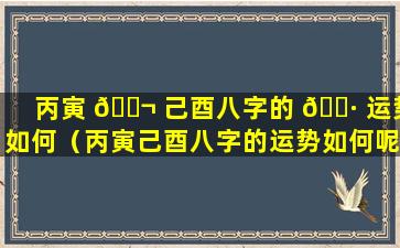 丙寅 🐬 己酉八字的 🌷 运势如何（丙寅己酉八字的运势如何呢）